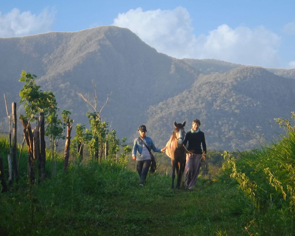 Tambo Ilusión — trekking y montañas