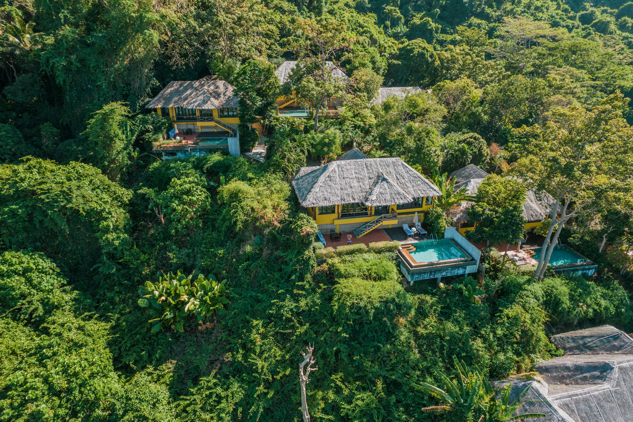 Aerial view of a jungle retreat surrounded by tropical forest